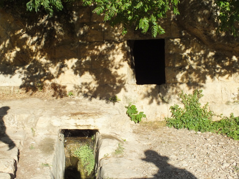 030e5578-DSCF4349