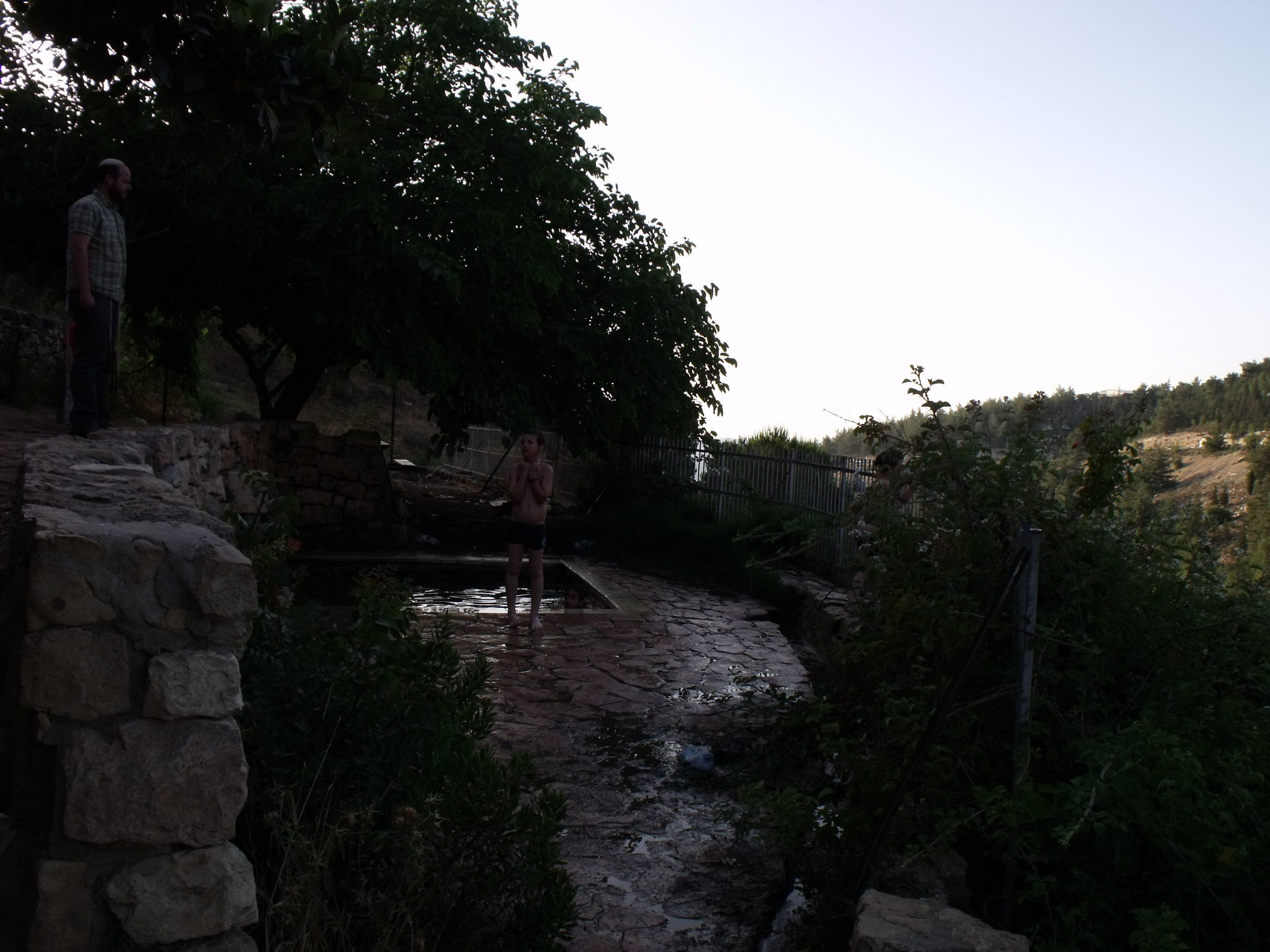 04213944-DSCF8900