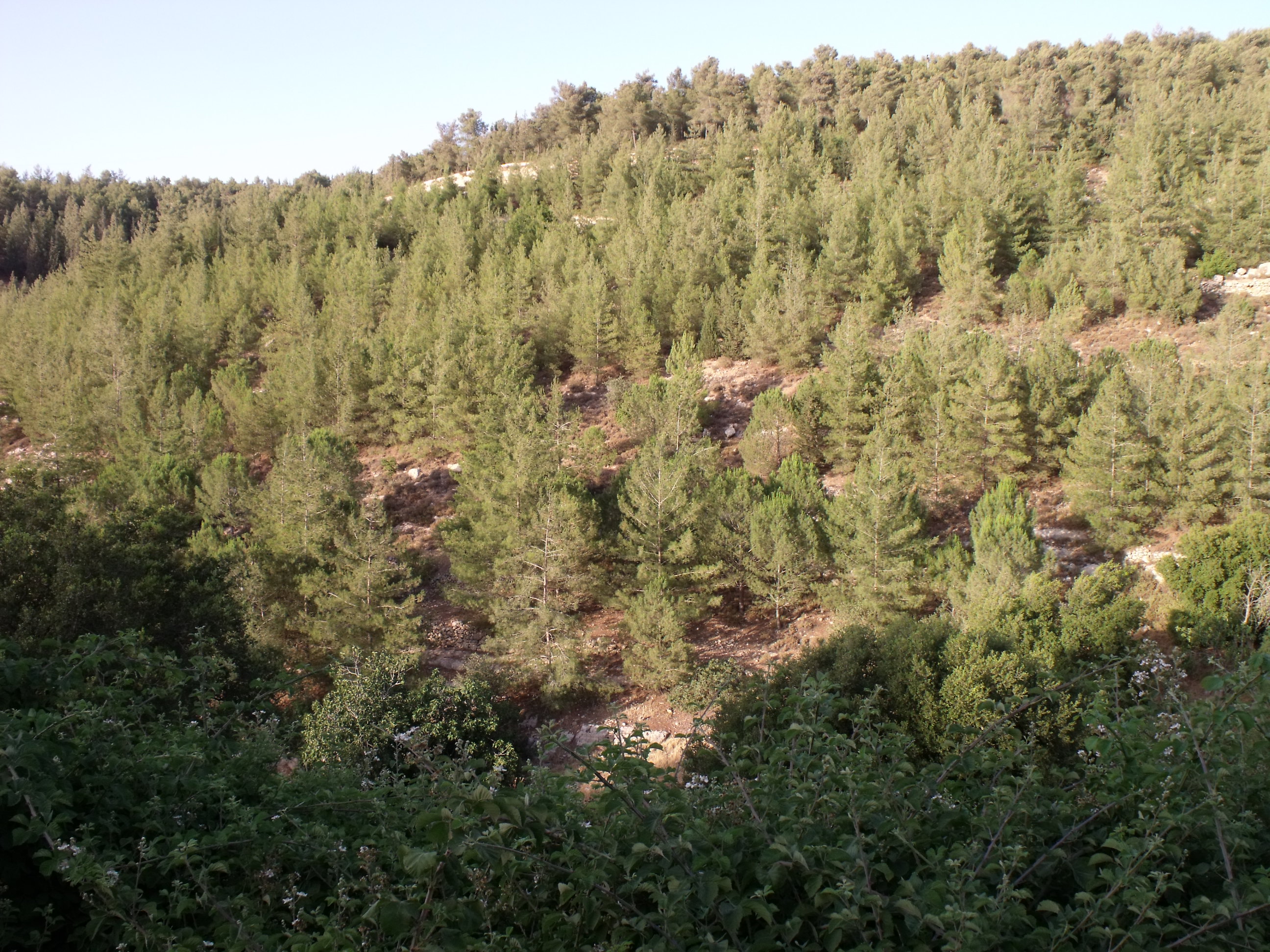 0727965c-DSCF8897