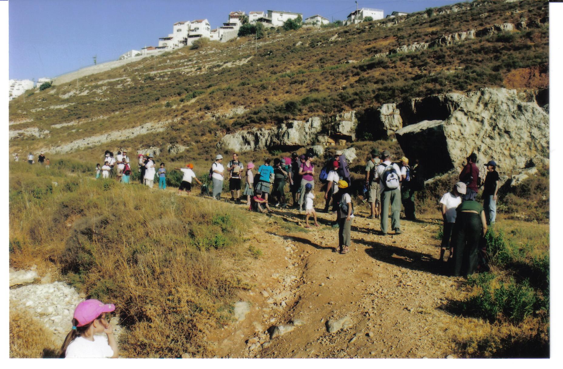 18ea2b40-%D7%A2%D7%99%D7%9F%20%D7%93%D7%91%D7%99%D7%A8%20013