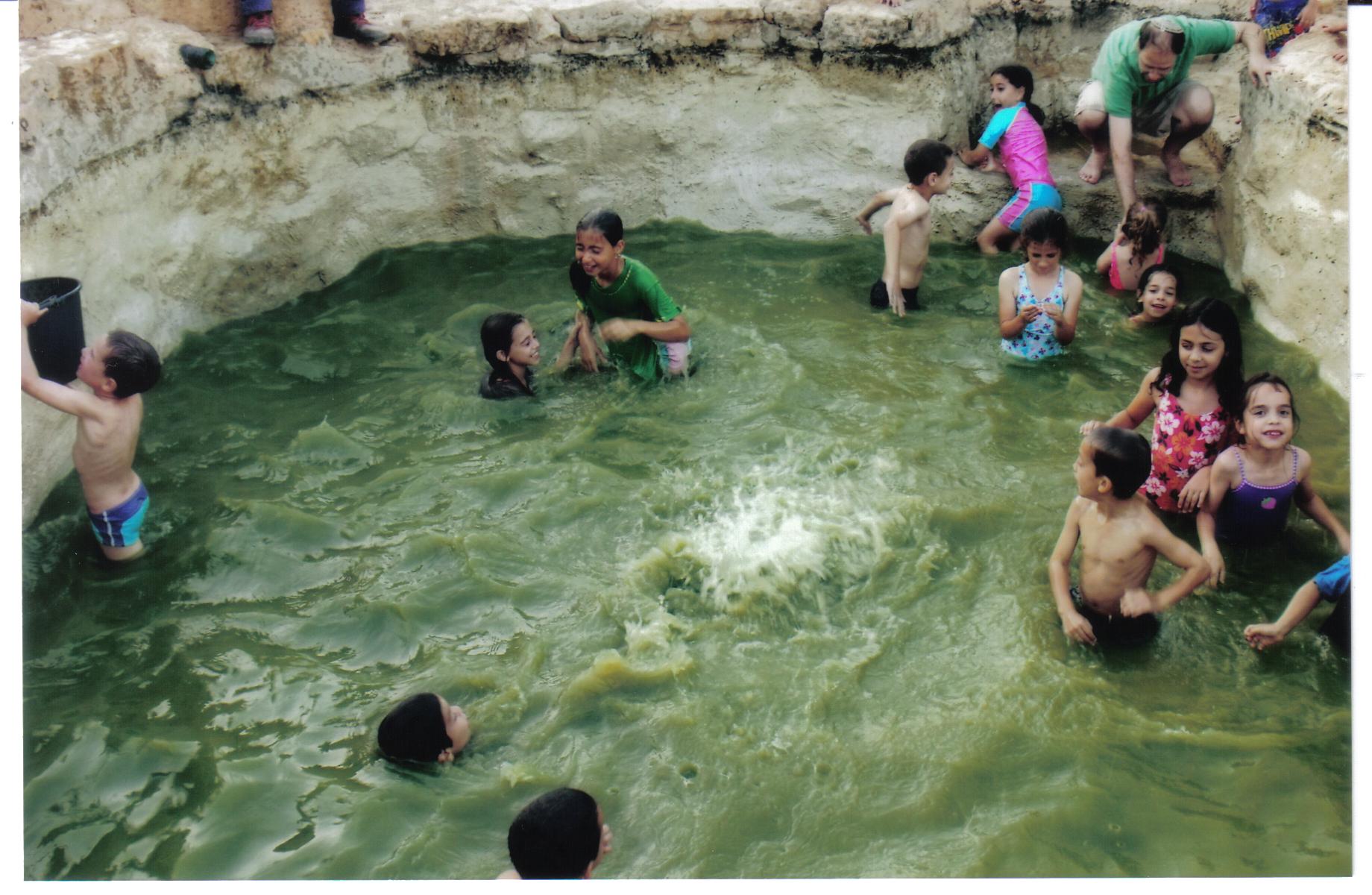 21ef7faa-%D7%A2%D7%99%D7%9F%20%D7%93%D7%91%D7%99%D7%A8%20021