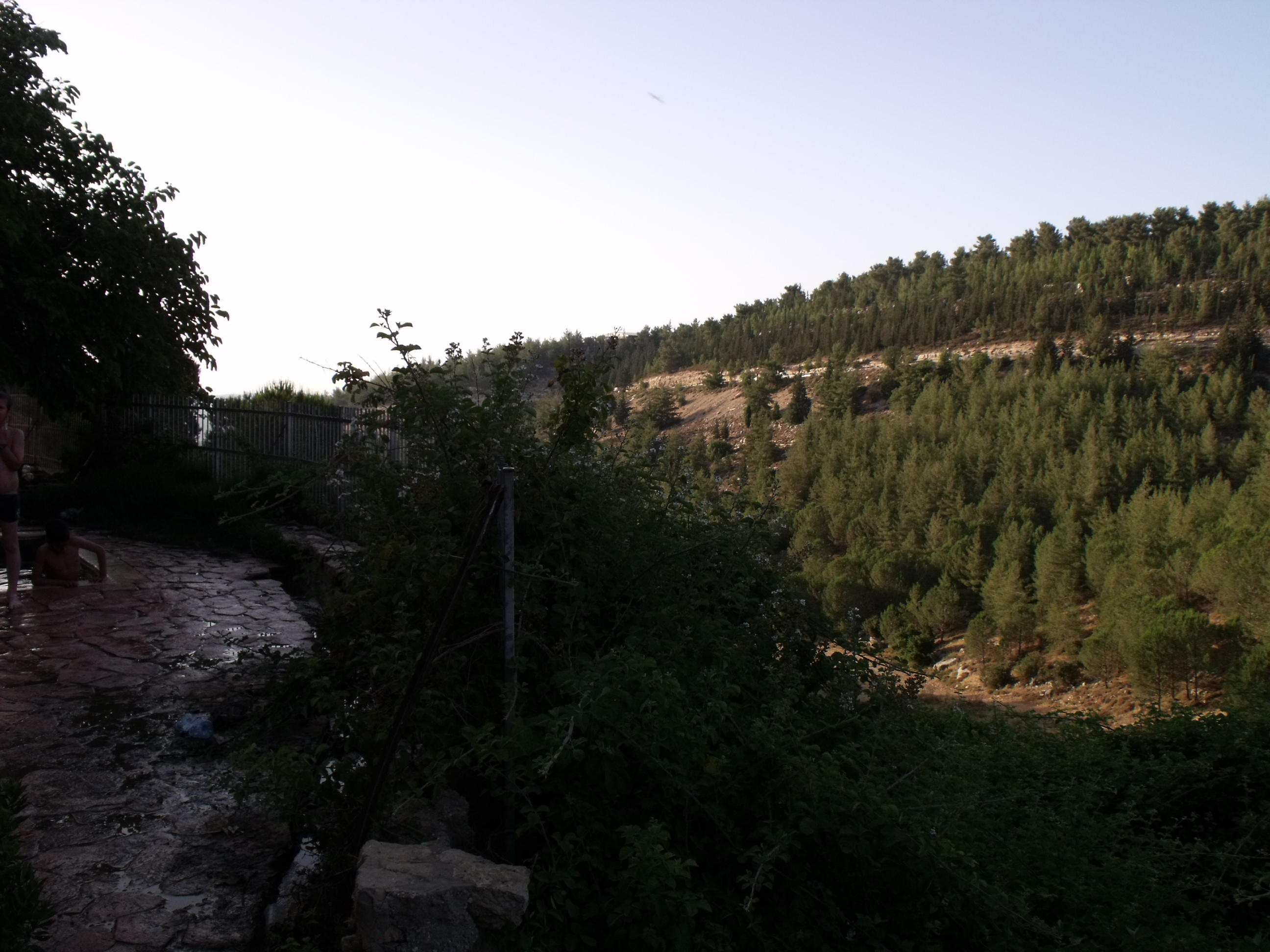 2b13cddb-DSCF8899
