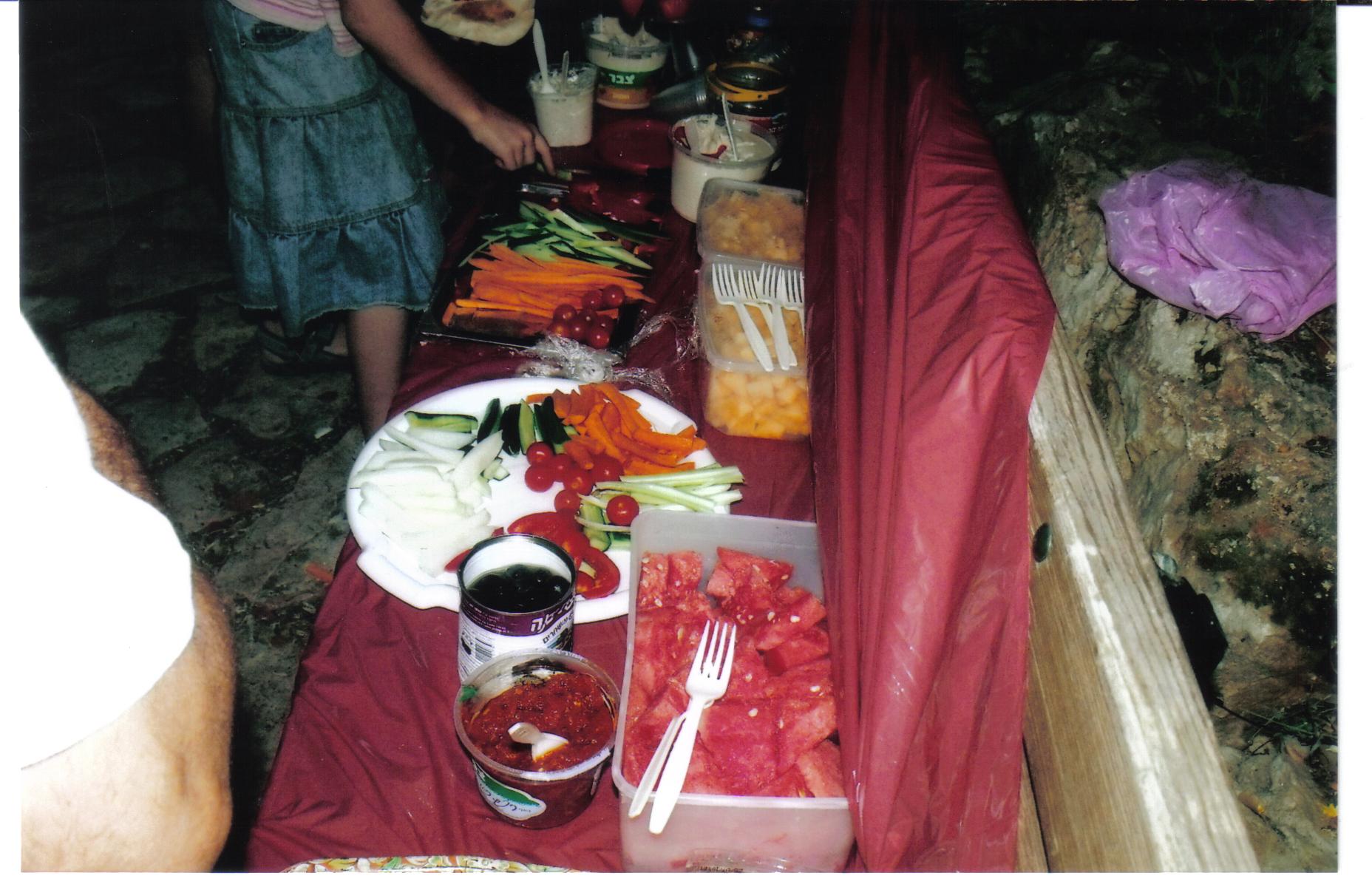 45a9e8e7-%D7%A2%D7%99%D7%9F%20%D7%93%D7%91%D7%99%D7%A8%20025