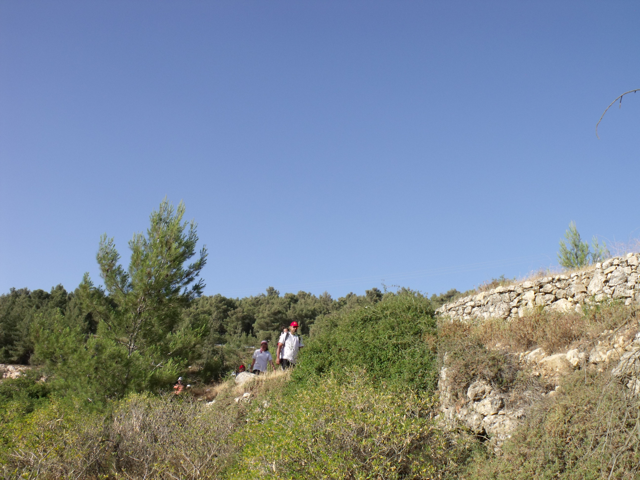 5a866aed-DSCF8858