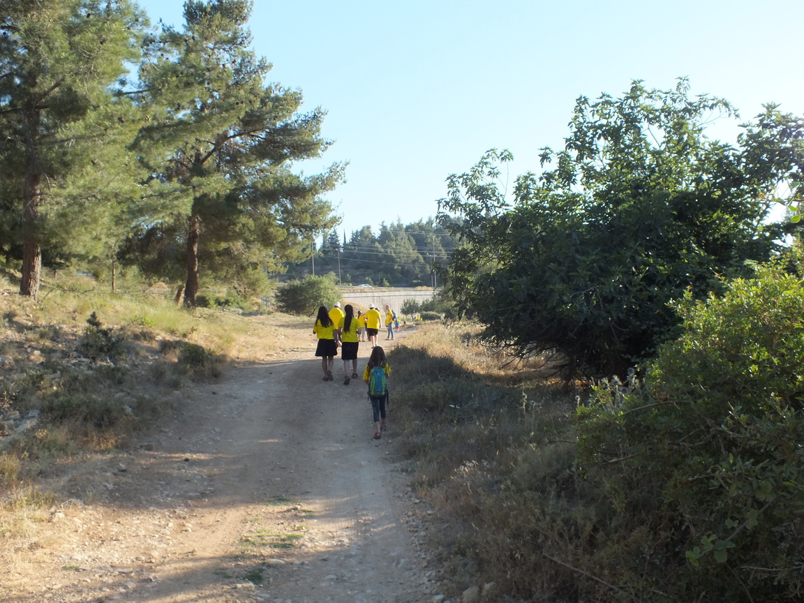 86a6de20-DSCF3350