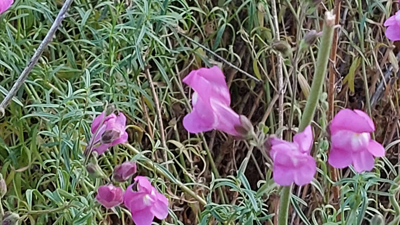 90446ae5-IMG-20230623-WA0048