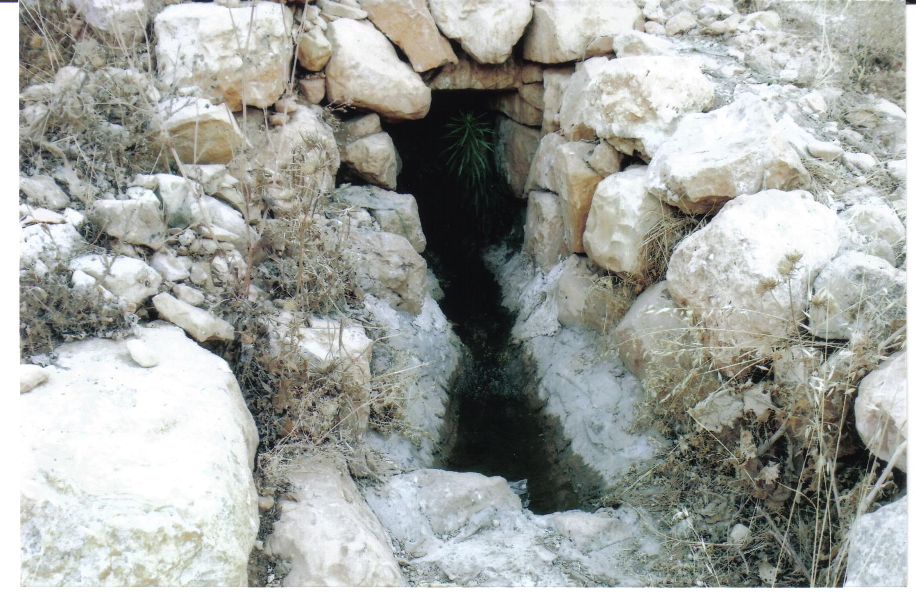 93bd8137-%D7%A2%D7%99%D7%9F%20%D7%93%D7%91%D7%99%D7%A8%20017