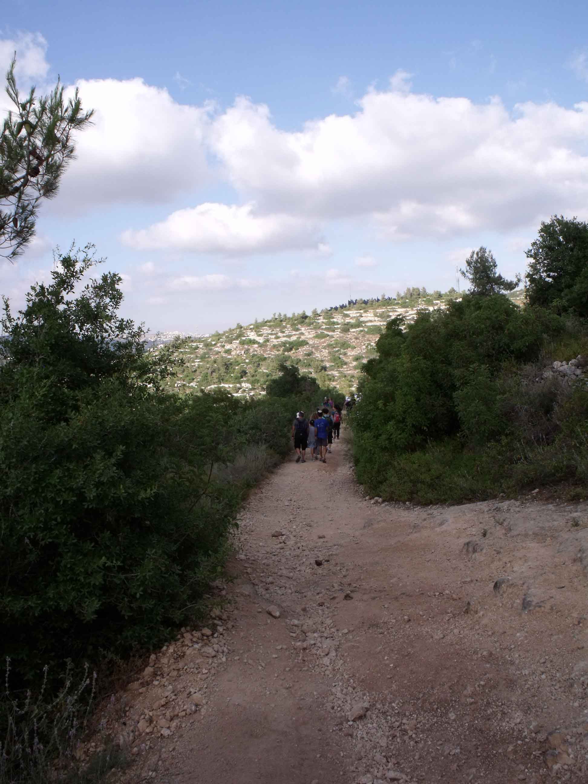 DSCF1664