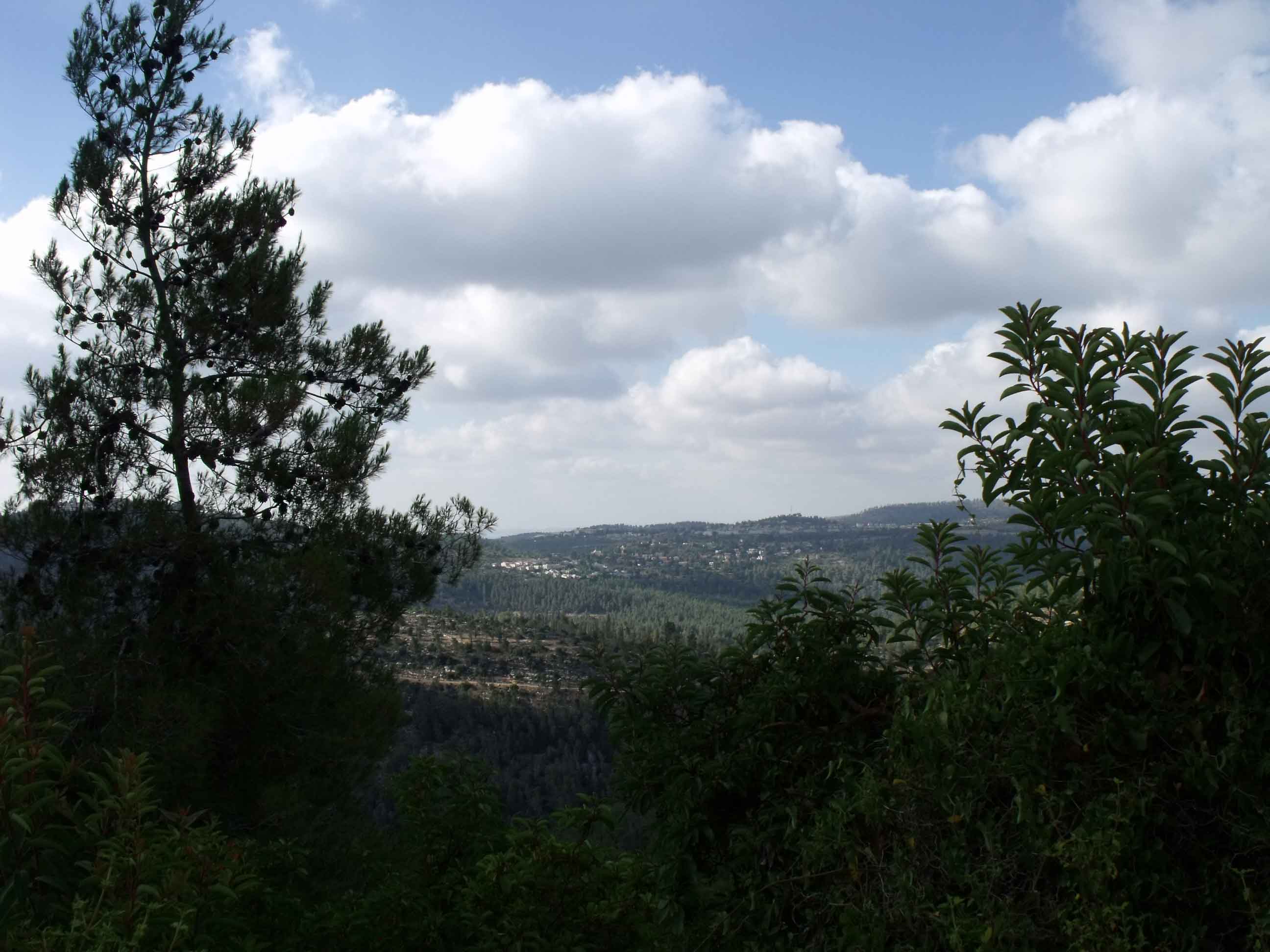 DSCF1668
