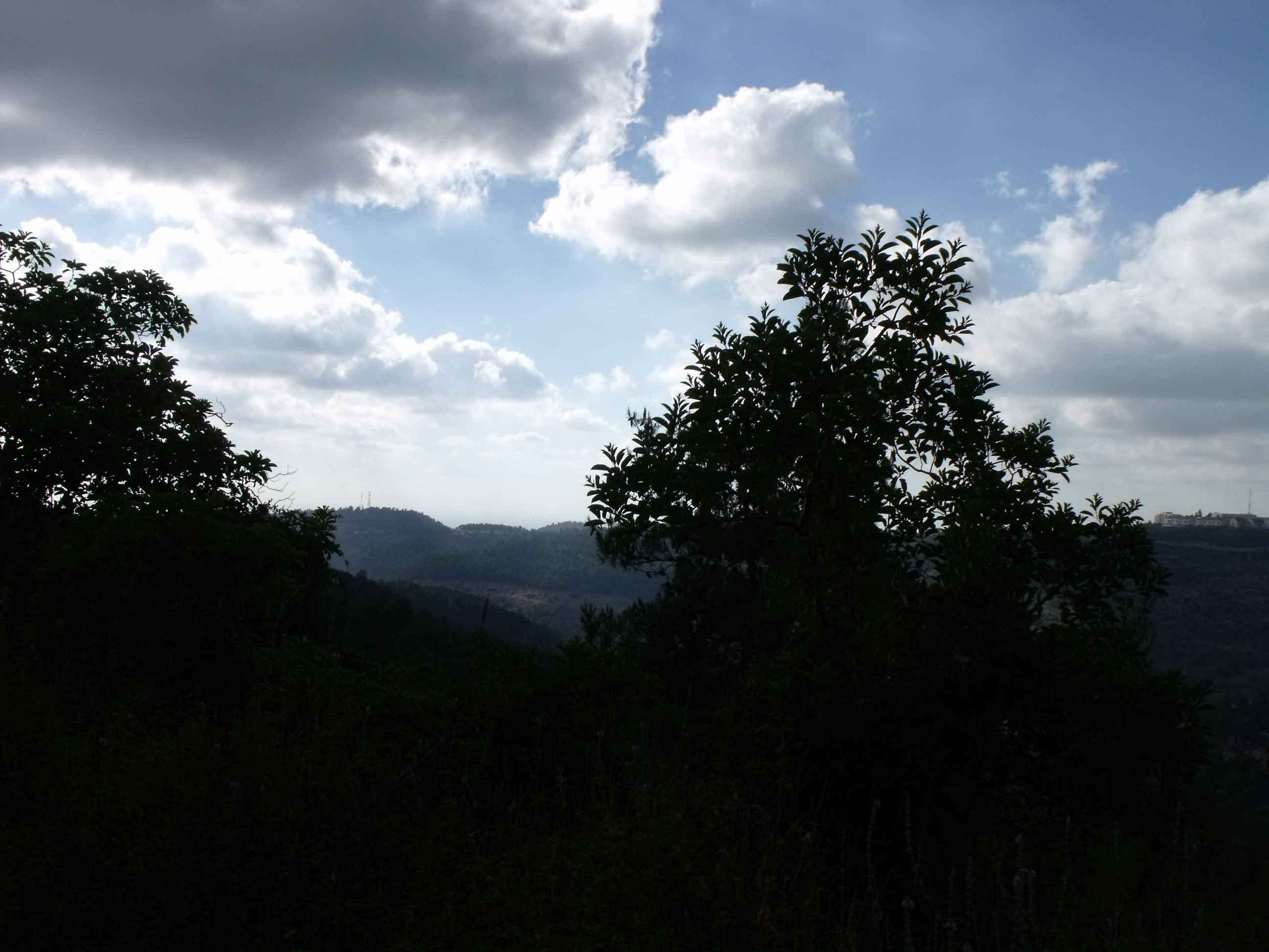 DSCF1670