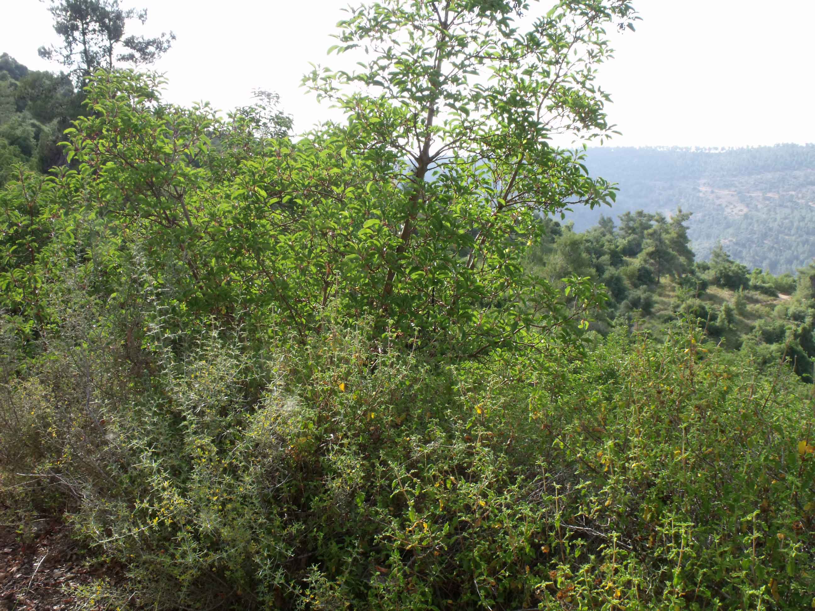 DSCF1679