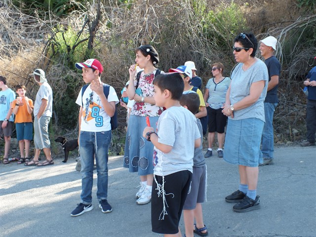 DSCF8352_640x480