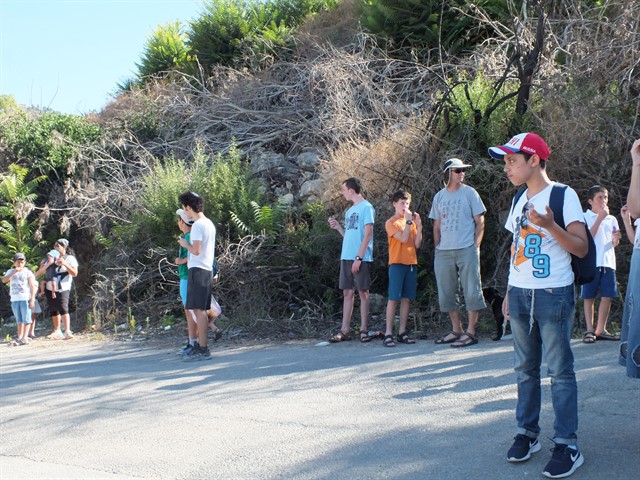 DSCF8353_640x480