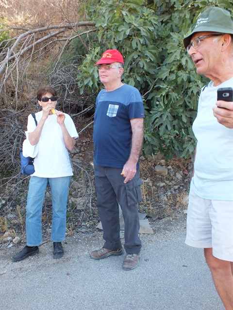 DSCF8357_480x640
