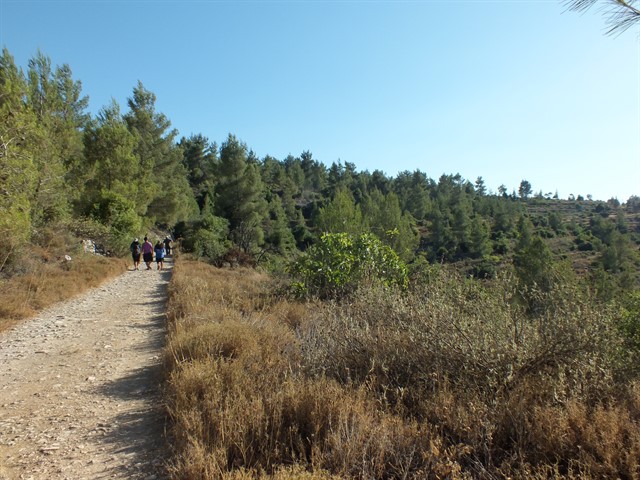 DSCF8434_640x480