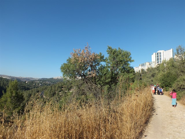 DSCF8438_640x480