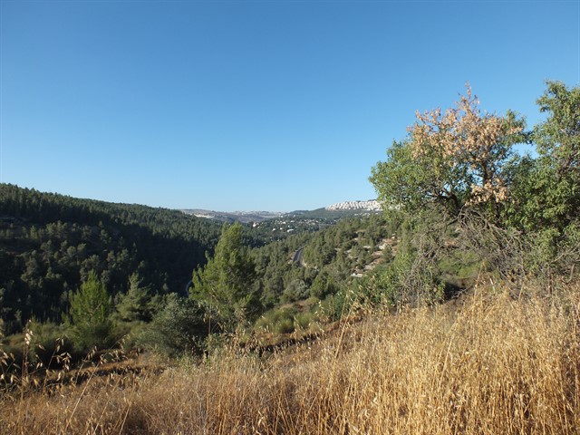 DSCF8439_640x480