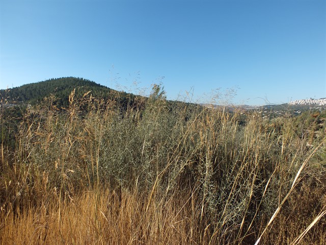 DSCF8442_640x480