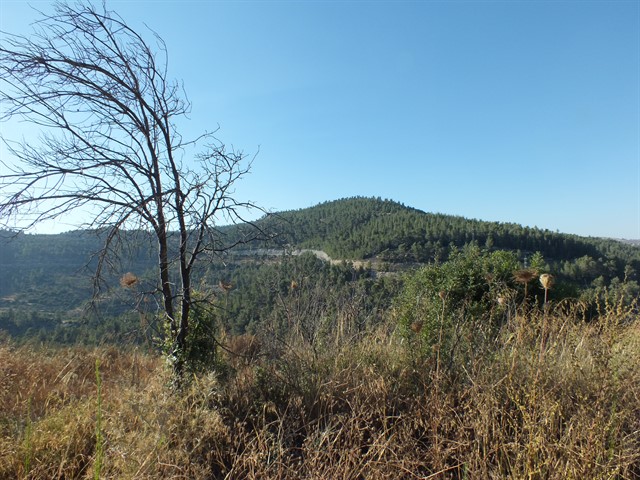 DSCF8453_640x480