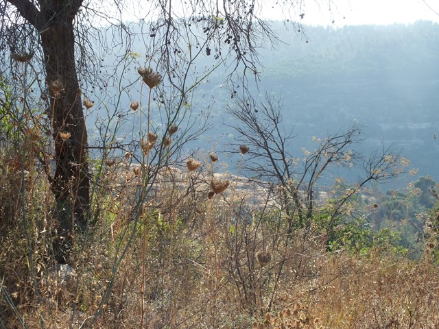 DSCF8461_640x480