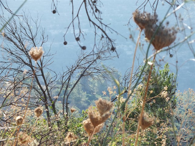 DSCF8465_640x480