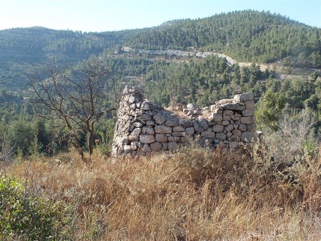 DSCF8466_640x480