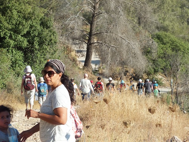 DSCF8469_640x480