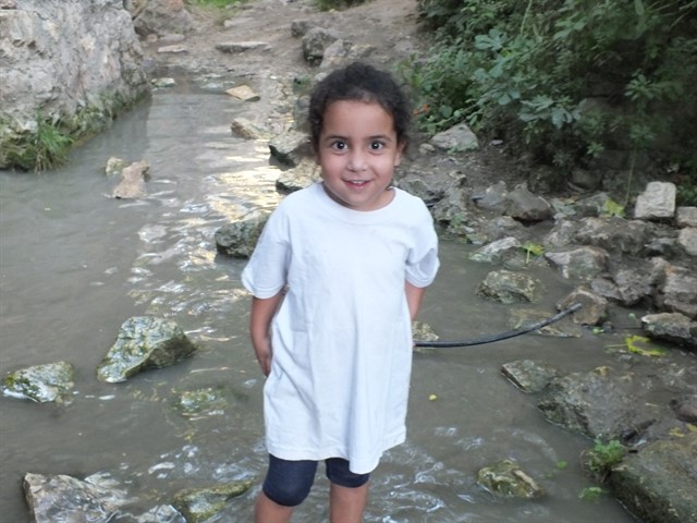 DSCF8510_640x480