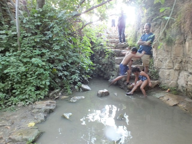 DSCF8514_640x480