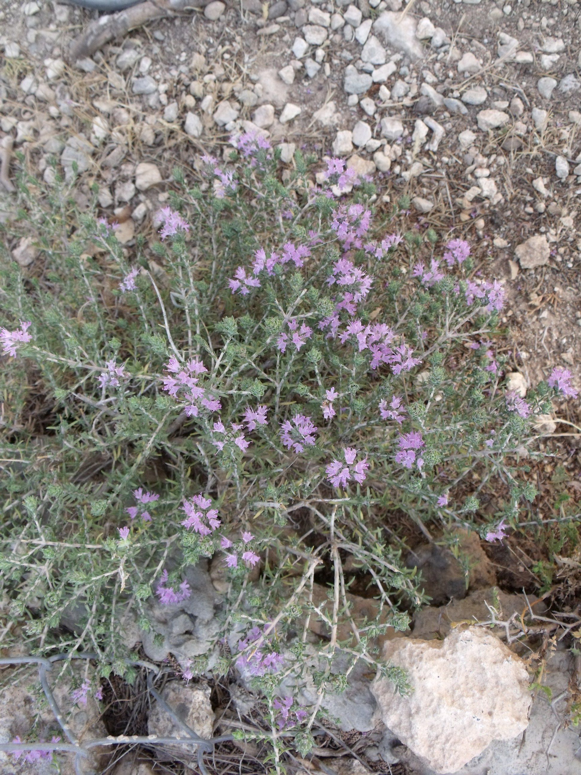 e041243f-DSCF8805
