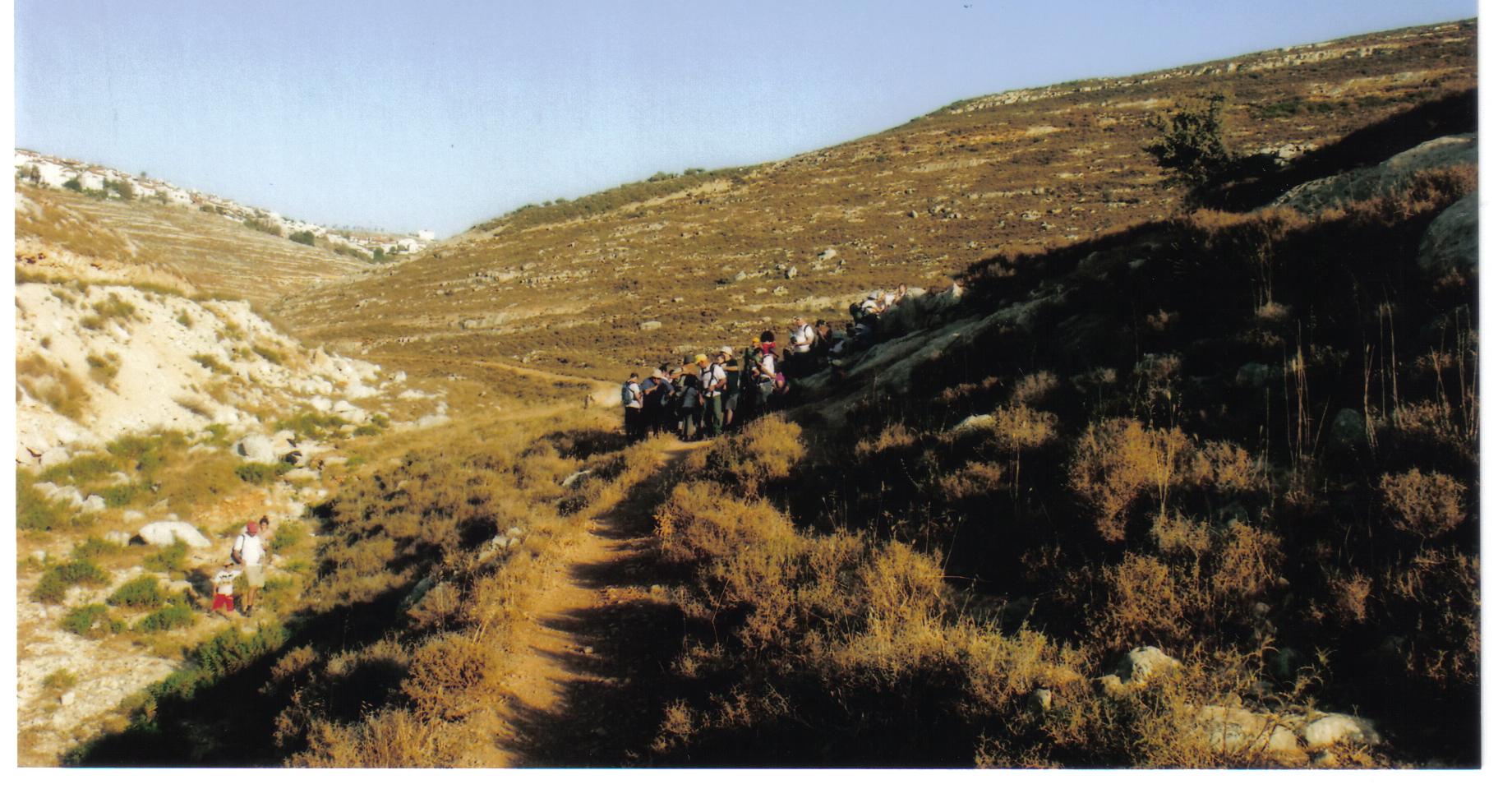 ea8f206c-%D7%A2%D7%99%D7%9F%20%D7%93%D7%91%D7%99%D7%A8%20009